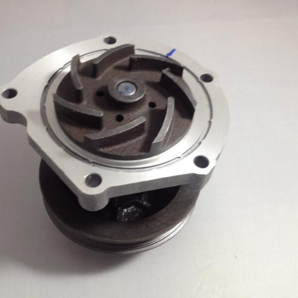 CONJUNTO BOMBA AGUA MOTOR