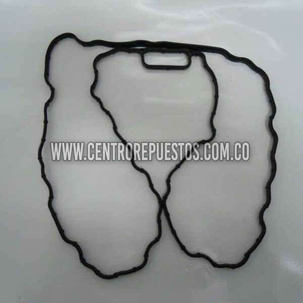 EMPAQUE CARTER JAC 1035KN GreenJet