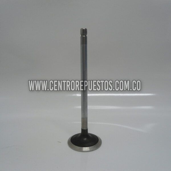 VALVULA ADMISION JAC 1035KN GreenJet